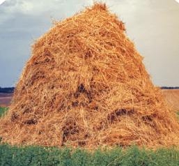 haystack